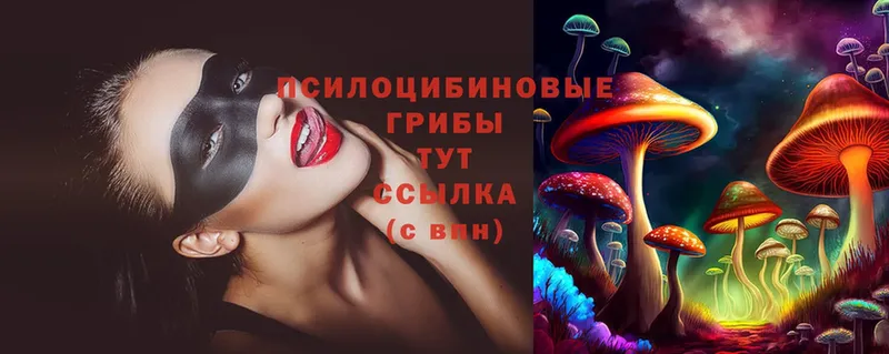 МЕГА вход  Жуков  Галлюциногенные грибы Psilocybine cubensis 